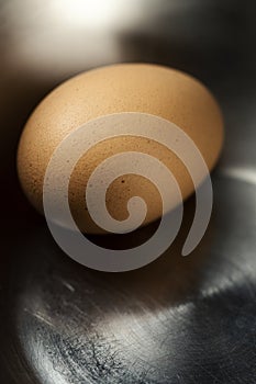 One brown egg in a metal bowl