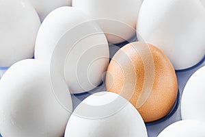 One brown egg in the middle of the white eggs