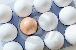 One brown egg in the middle of the white eggs