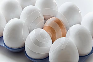 One brown egg in the middle of the white eggs