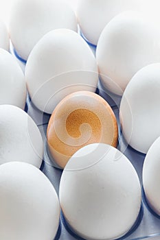 One brown egg in the middle of the white eggs