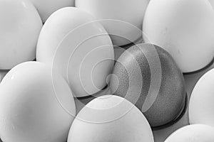 One brown egg in the middle of the white eggs