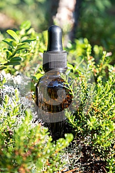 One brown glass dropper bottle with serum, essential oil, attar or other cosmetic product in forest outdoors. Natural Organic Spa