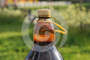 One brown plastic bottle closed with a cork full of drink with foam