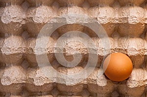 One brown unbroken chicken egg in a cardboard box