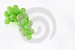 One bunch of green grapes with water drops isolated and on white background with clipping path