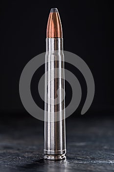 One cartridge with copper bullet and lead tip