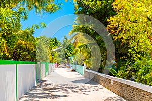 One of the central streets of small tropical island Hangnaameedhoo, Maledives. Copy space for text