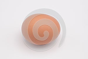 One chicken egg against a white background