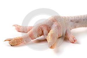 One chicken paw isolated on white background