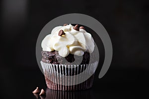 One chocolate cupcake with whipped cream frosting and chocolate chips