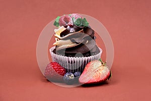 One chocolate vanilla cupcake with raspberries still life stock images