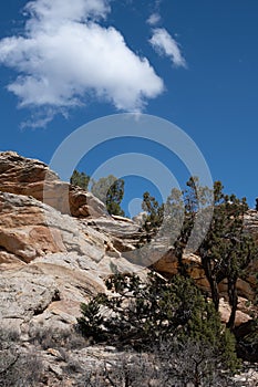 One Cloud in the Blue desert sky