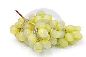 One cluster of green grapes