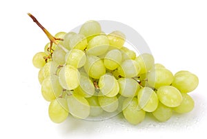 One cluster of green grapes