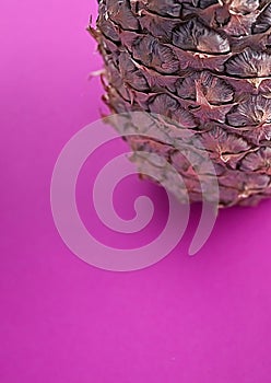 One colored pineapple on pink background
