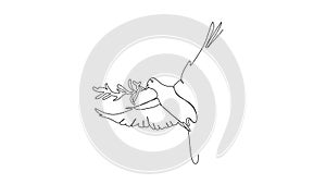 One continuous line 4k self drawing video of cute flying dove bird for logo identity. Peace and freedom symbol mascot concept for