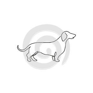 One continuous line drawing of adorable dachshund dog for logo identity. Purebred dog mascot concept for pedigree friendly pet