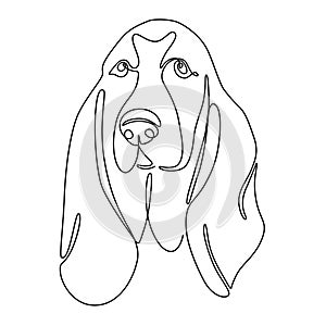 One continuous line drawing Basset Hound vector Image. Single line minimal style dog portrait. Cute beagle puppy black