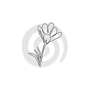 One continuous line drawing of beauty fresh croci for home wall decor art poster print. Printable decorative crocus flower for