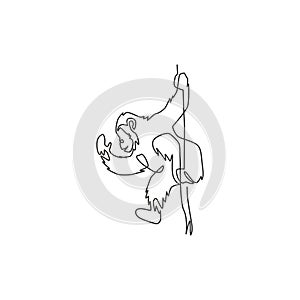 One continuous line drawing of cute chimpanzee hanging on tree branch for conservation jungle logo identity. Adorable mascot
