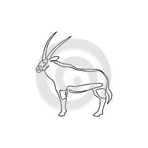 One continuous line drawing of stout oryx for company logo identity. Large African antelope mammal animal mascot concept for