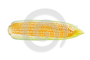 One corn ear isolated on white background