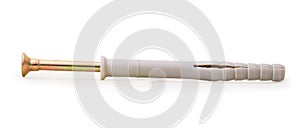 One countersunk self-tapping screw in a plastic dowel isolated on a white background