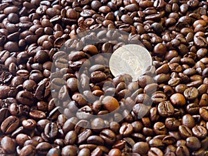 One Cuba Dollar closeup on coffee beans background