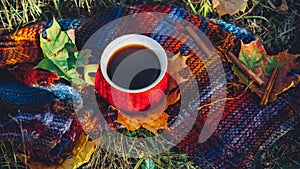 One Cup of coffee in a red sweater on a knitted colorful autumn scarf outdoor. Relax and rest in the warm autumn in the forest.