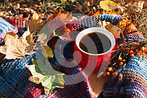 One Cup of coffee in a red sweater on a knitted colorful autumn scarf outdoor. Relax and rest in the warm autumn in the forest.