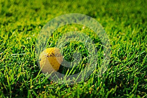 One damaged yellow range golf ball with printed on it text lays on green grass. Close up photo