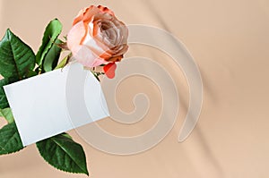One delicate pink rose with a white card on a clothespin with a heart on a beige background. Mockup