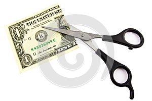 One dollar cut in half with scissors