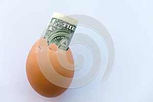 One dollar in an egg shell on white background