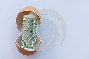 One dollar in an egg shell on white background
