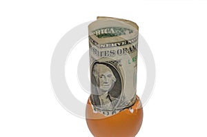 A one dollar in an egg shell on white background