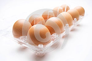 One dozen egg in background white