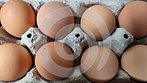 One dozen farm fresh eggs