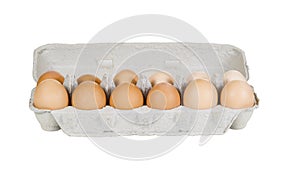 One Dozen Fresh Eggs in Carton on White