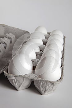 One Dozen White Eggs Inside an Egg Carton photo