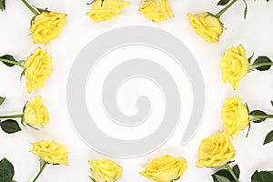 One Dozen Yellow Roses as an Oval Border on White