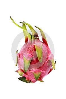 one dragon fruit isolated on white
