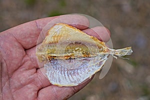 one dry small fish yellow striper lies on the palm