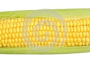 One ears ripe corn white background.