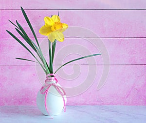 One Easter Daffodil Flower Blossom in a modern vase against pink, painterly textured wood boards with copy space