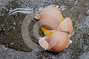 One egg accidentally dropped to the ground.