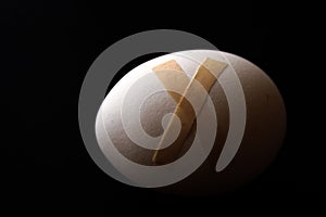 One egg in black background with plaster