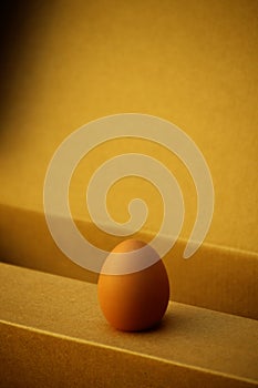 One egg on cardboard background