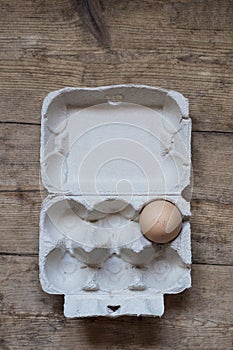 One egg in a carton